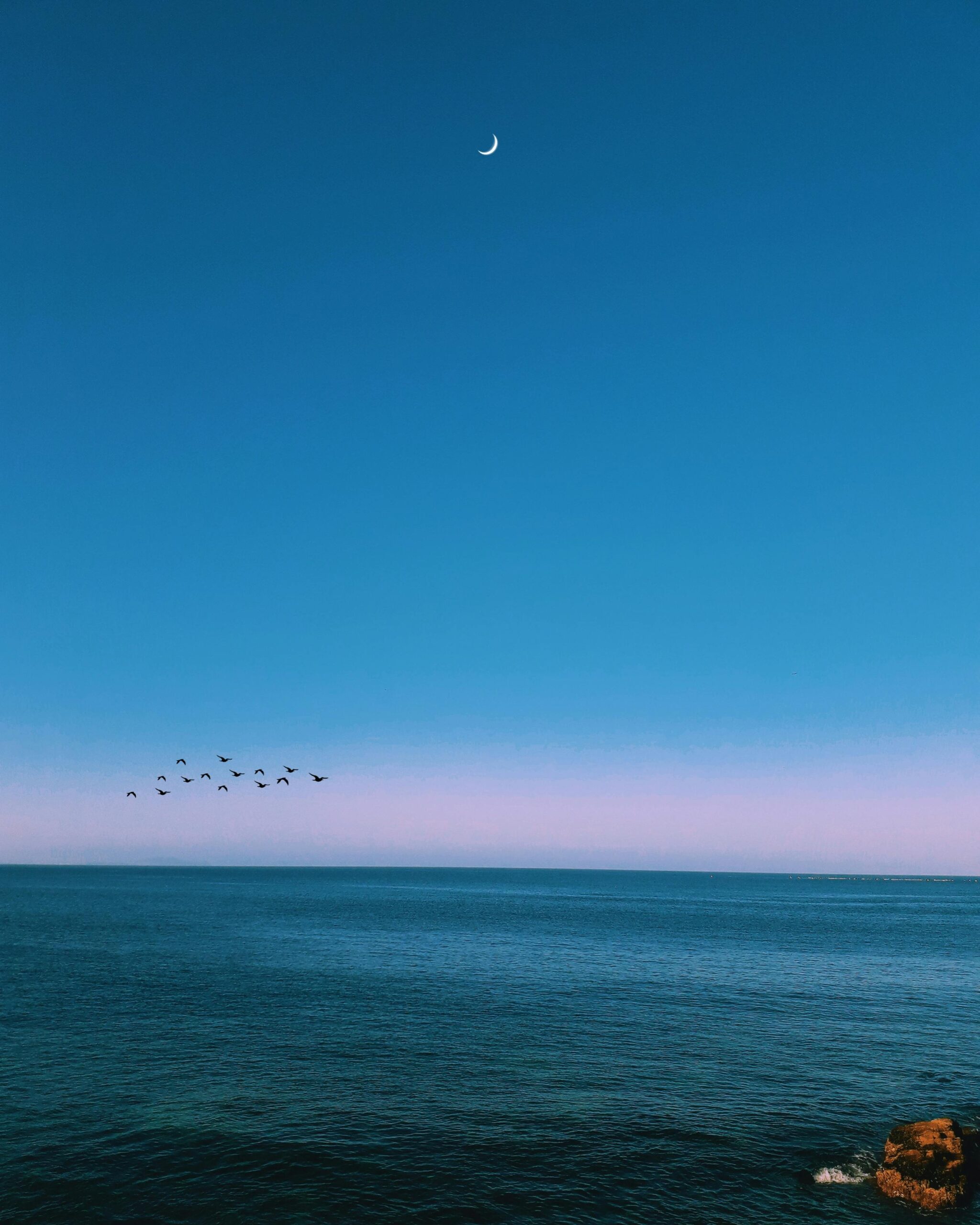 Serene ocean view at dusk with a crescent moon and birds flying across a calm sky.